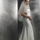 바디라인 이미지