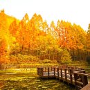 장태산자연휴양림 이미지