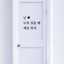 제일체육관(태권도) 이미지