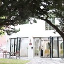 하이얀미용실 이미지