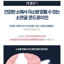 바오팜