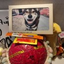 덕구국밥 네이버블로그
