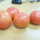 물안골농장 이미지