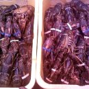 거성수산 이미지