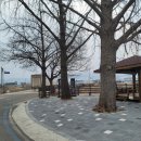 입장 포도길 이미지