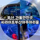 용궁꽃수족관 | 부산 가볼만한곳, 해운대 아쿠아리움 씨라이프부산아쿠아리움 방문 후기!(Feat. 입장권 할인)