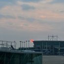 골든튤립호텔&스위트 이미지