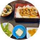 맑은샘 세탁전문점 | 도쿄 후지산 버스투어 솔직 후기 _후지산투어 자유여행 vs 버스투어