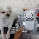 도기부기 이미지