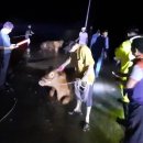 부여한우농장 이미지