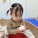 펑펑푸드