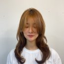브릴리헤어