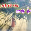 고려동유적지 이미지