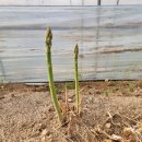 일호농장 이미지