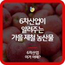 6차산업이 알려주는 가을 제철 농산물
