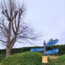 🏖서해랑길 64-1코스(지선1코스) 11.9km (20240403)