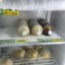 한마루식품 - 충주시 | 한마루식품