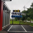 셀세모 금붕점 이미지