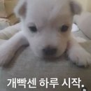 DioMio (디오미오) | 더워요 더워🥵💦 | 7월 넷째주 feat.출근의 연속