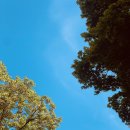 파파스닭칼국수 | [부천, 역곡] 가톨릭대 근처 닭칼국수 맛집 &lt;파파스닭칼국수&gt;