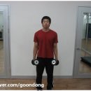 전신근력운동 이미지