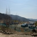 오리산단4로 | [천안 병천] 송정원유황오리 오리오스+탕, 오리누룽지백숙맛집 추천후기