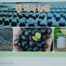 금평농장 이미지