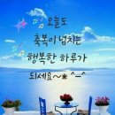 못난이의 첫사랑 이미지