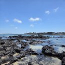 터닝포인트제주 이미지