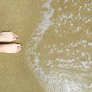 양양오성한우 | 군산 가볼만한곳 베스트10 추천