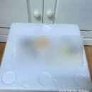 농라 회성수산 전어세꼬시 1kg 주문 후기