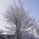 방림계촌도서관 | 시골에서 노는 법 16. 하원 후 놀이시간이 짧아졌다