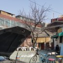 홍제카센타
