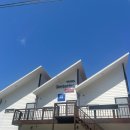 까치와 산토리나 이미지