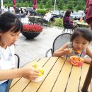 황토와통나무별장 이미지