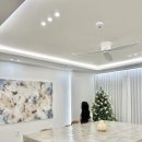 스테이 피치스 이미지