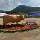 장전천2 이미지