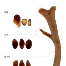 오중한한의원 이미지
