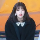 댕댕타임 이미지