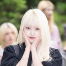 미모고양이 이미지