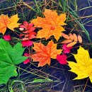 해질무렵 이미지