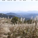 신소양체육공원화장실(주차장) 이미지