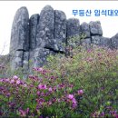 할리데이플래너스㈜ 네이버블로그
