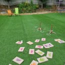 펠리시떼 이미지