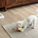 멍플러피 이미지