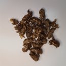 지본한의원 | 가야할 때를 아는 매미는 군자의 상징