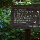 구례의 휴일 이미지