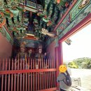 중 제주도 사찰 방문 후기 [사라봉 보림사~약천사...보문사~산방굴사~수산봉 대원정사~파군봉 월영사]