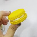마카롱언니 이미지