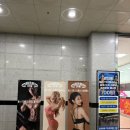 동감필라테스 | 관저동 헬스장 그룹 필라테스 8:1 후기